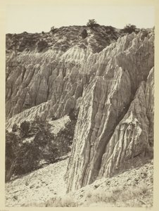 Rain Sculpture, Salt Creek Canyon, Utah