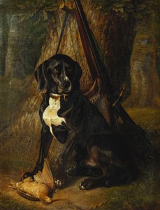 A Gun Dog with a Woodcock