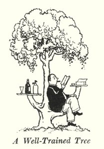 A Well-Trained Tree by William Heath Robinson