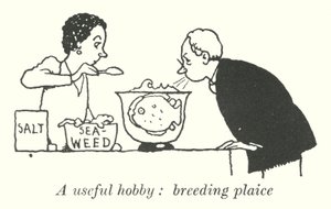 A useful hobby, breeding plaice by William Heath Robinson
