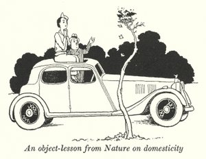An Object-Lesson from Nature on Domesticity by William Heath Robinson