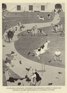 Cultivating Buoyancy, Toughness and Resisting Power in Hides for Footballs in the Stockyards of a Football Factory by William Heath Robinson
