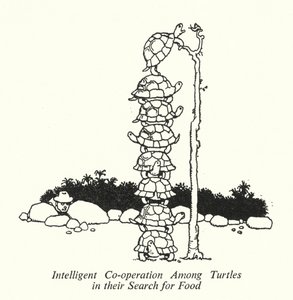 Intelligent Co-operation Among Turtles in their Search for Food by William Heath Robinson