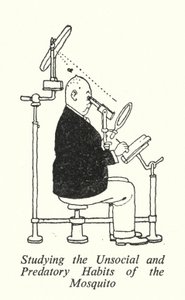 Studying the Unsocial and Predatory Habits of the Mosquito by William Heath Robinson