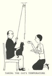 Taking the Cat