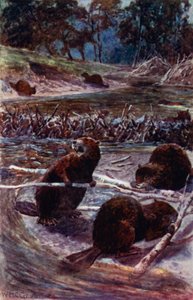 They Build a Dam Across the Stream by William Henry Charles Groome