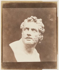 Bust of Patroclus by William Henry Fox Talbot