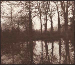 Winter Trees Reflected in a Pond, 1841-42 by William Henry Fox Talbot