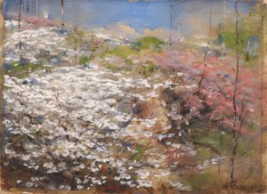 Field of Blossoms