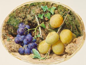 Golden Drop Plums and Black Grapes, c.1860