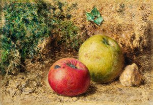 The Contrast - Red and Green Apples