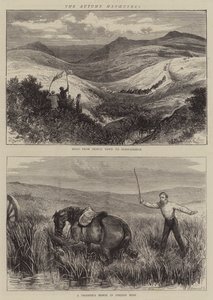 The Autumn Manoeuvres