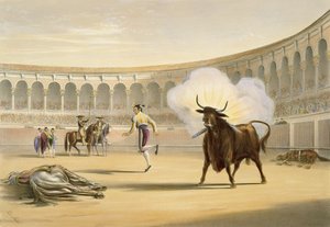 Banderillas de Fuego