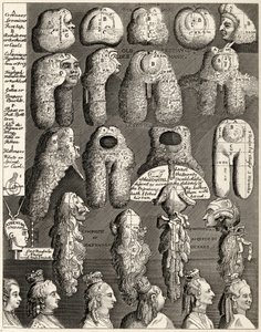 The Five Orders of Perriwigs, from 