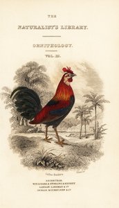 Titlepage with vignette of red junglefowl (Javan)