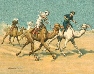 Races Historic and Modern, Camel Races
