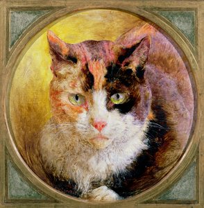 A Head Study of a Tortoiseshell Cat by William Huggins