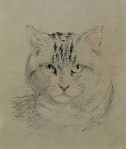Tabby Cat by William Huggins