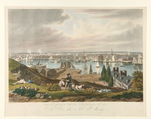 Baltimore From Federal Hill by William James Bennett