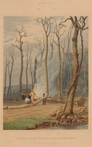 Spring--Burning Fallen Trees in a Girdled Clearing. Western Scene by William James Bennett after George Harvey