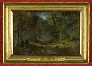 Nightingale Valley, c.1831 by William James Muller