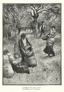 Gathering the Cider Apples by William John Hennessy