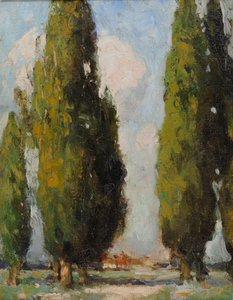 Lombardy Poplars