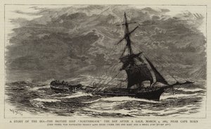 A Story of the Sea, the British Ship Northbrook the Day after a Gale, 4 March 1885, near Cape Horn