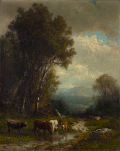 Landscape with Cattle