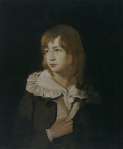 Portrait of a Boy, John Parry of Garden, c.1788-89