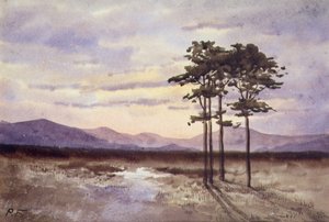 Sunset, County Sligo by William Percy French
