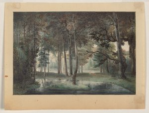 A View from the Artist