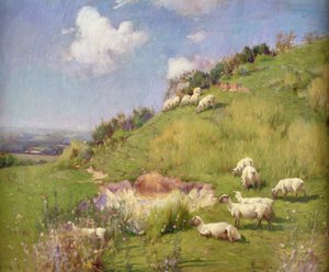 Sheep on a Hill Side