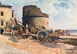 Bastion on the Shore, Ceriale