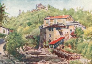 Olive Mill, Dolcedo