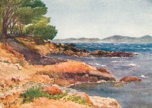 On the Shore near Carqueiranne