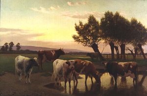 Evening near Amberley