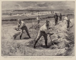 A Coveted Privilege, Convict Gangs Haymaking by William Small