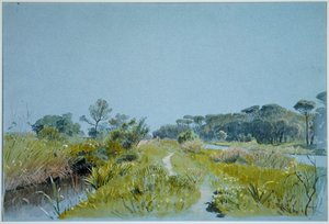 Castel Fusano - Near Rome by William Stanley Haseltine