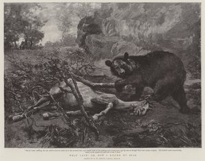 What Luck! or, How I killed My Bear by William Strutt