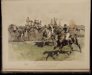Pony Race for Polo Ponies