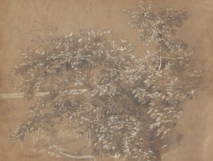 Foliage by William Trost Richards