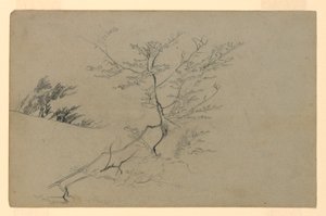 Study of Foliage by William Trost Richards