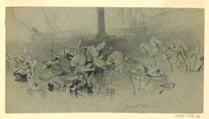 Study of Foliage by William Trost Richards