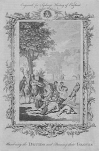 Murdering the Druids and Burning their Groves