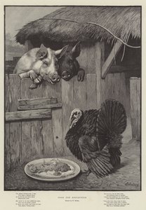 Food for Reflection by William Weekes