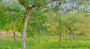 Orchard in Autumn