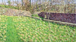 Orchard in Winter Sun