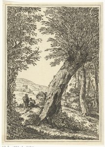 Willow Tree