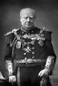 Admiral of the Fleet Sir Henry Keppel, 1893